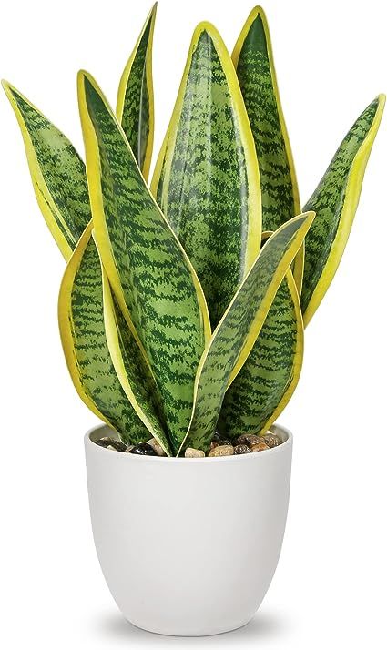 Snake Plant Indoor, White Pots, Sansevieria Plant, Artificial Plants Indoor, Sansevieria Trifasciata, House Plant Pots, Agave Plant, White Planters, Succulents Indoor