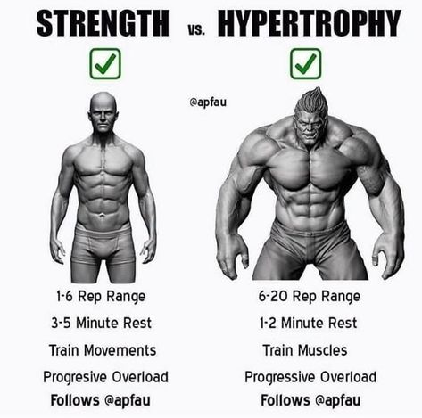 Ectomorph Workout, Workout Man, Gym Antrenmanları, Full Body Workouts, Gym Tips, Muscle Building Workouts, Weight Training Workouts, Ab Workouts, Biceps Workout