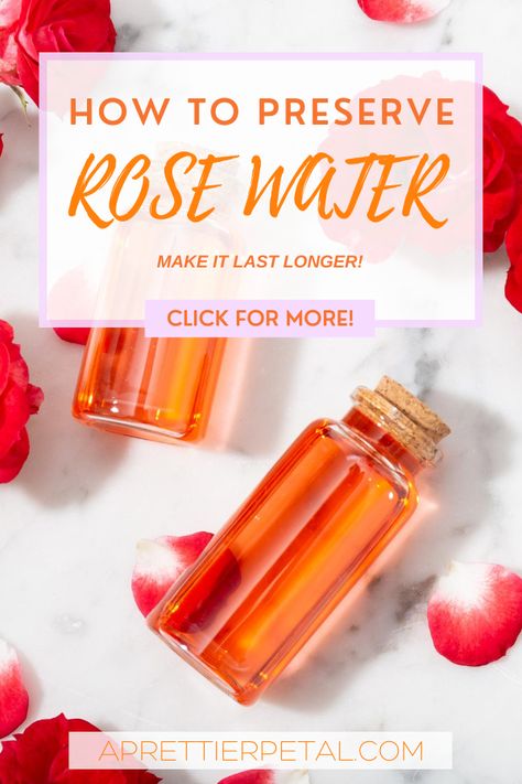 Whether you have purchased rose water or made it yourself, rose water is going to expire at some point. However, there are methods you can use to make your rose water last longer, particularly if you are making it yourself. Read on to find out how to preserve rose water! #howtopreserverosewater #preserverosewater #rosewater Benefits Of Rose Water, Rose Water Benefits, Homemade Rose Water, Rose Water Diy, How To Make Rose, Diy Rose, Essential Oil Benefits, Diy Roses, Free Living