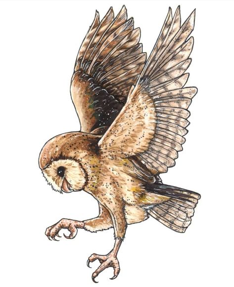 Barn Owl Illustration, Barn Owl Flying, Barn Owl Drawing, Owl Flying, Fly Drawing, Flying Owl, Steampunk Owls, Owl Vector, Bird Drawing