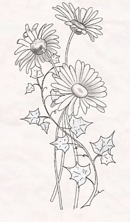 Poison Ivy Tattoo, Coy Fish Tattoos, Flower Tattoo Stencils, Ivy Tattoo, Daisy Drawing, Flower Tat, Cute Simple Tattoos, Bookish Tattoos, Tattoo Spots