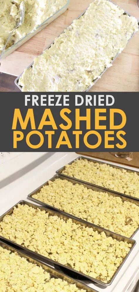 Get the recipe for making DIY freeze dried mashed potatoes for your own instant mashed potatoes that are shelf stable! Freeze drying food is a great way to preserve food that you would otherwise can or put in the freezer. It saves time and room, and makes meal time super quick! Freeze Dry Recipes, Freeze Drier, Kitchen Extras, Freeze Dried Food Storage, Mashed Potato Recipe, Homesteading Life, Harvest Right Freeze Dryer, Best Freeze Dried Food, Big Freeze