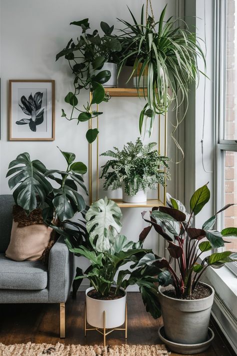 Ensure your apartment plants thrive by choosing the right potting mix with these helpful tips. #ApartmentPlants #PottingMix How To Decorate With Plants Indoors, Corner Decor Living Room, Plant Interior Design, Sunny Living Room, Plant Decor Living Room, Plant Apartment, Living Room Interior Design Ideas, Room Interior Design Ideas, Plant Corner