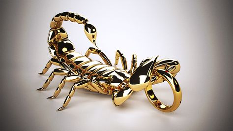 Golden Scorpio on Behance Anton, Tattoos, Metal Jewellery, 4 Tattoo, Scorpion, Metal Jewelry, Gold Bracelet, Gold, Quick Saves