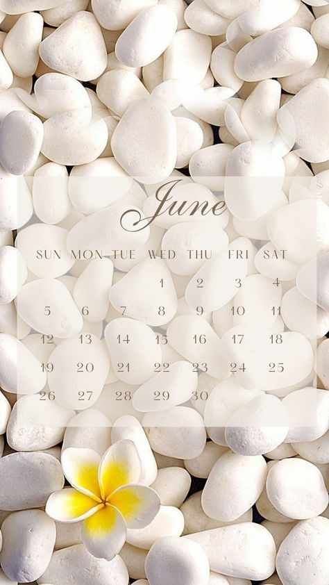 Calendar June, Emoji Wallpaper Iphone, Calendar Wallpaper, Winter Wallpaper, Emoji Wallpaper, June 2022, Social Life, Photography Poses, Phone Wallpaper