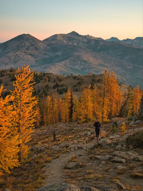 Went hiking in fall to find some yellow larches in the North Cascades of Washington during sunrise Pacific Northwest Fall, Hiking Aesthetic Fall, Fall Shuffle, Fall In Washington, Washington Fall, Pnw Fall, Pnw Vibes, Pnw Aesthetic, 2024 Manifestations