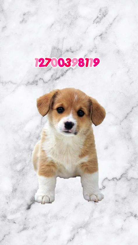 Bloxburg Pet Cat Decal Codes, Bloxburg Dogs Codes, Bloxburg Decals Codes Pets, Dog Codes For Bloxburg, Bloxburg Puppy Decal Codes, Puppy Decals Bloxburg, Bloxburg Dog Decal Codes Transparent, Pet Decal Codes Bloxburg, Bloxburg Cat Decal Codes Realistic