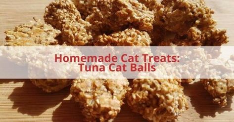 Homemade Cat Treats: Tuna Cat Balls Homemade Cat Treats Recipes, Tuna Cat Treats, Cat Ball, Homemade Cat, Cat Treat Recipes, Tuna Recipes, Cat Treats, Bite Size, Rice Krispie Treat