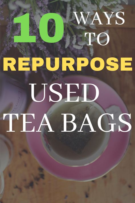 What To Do With Expired Tea Bags, Used Tea Bag Uses, Used Tea Bags, Green Tea Bags, Fertilizer For Plants, Drink Tea, Dirty Dishes, Creepy Crawlies, Going Green