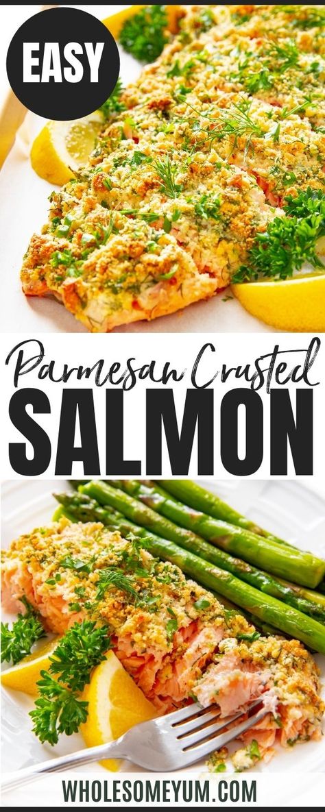 Baked Salmon Parmesan, Parmesan Salmon Recipes, Baked Crusted Salmon, Lemon Parmesan Salmon, Parmasean Crusted Salmon Recipes, Garlic Parm Salmon, Salmon Bread Crumbs Recipe, Best Way To Make Salmon, Lemon Crusted Salmon