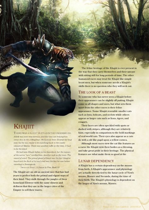 The Khajiit – D&D 5E Race – Sparky Bard Dnd Superhero, Warlock Patron, Dnd Concept, 5e Races, Eldritch Blast, Character Classes, D D Classes, Dnd Items, Home Brewery