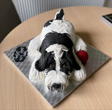 English Sheepdog Puppy, Sheepdog Puppy, Sheep Dog Puppy, Puppy Cake, English Sheepdog, Puppies, Cake