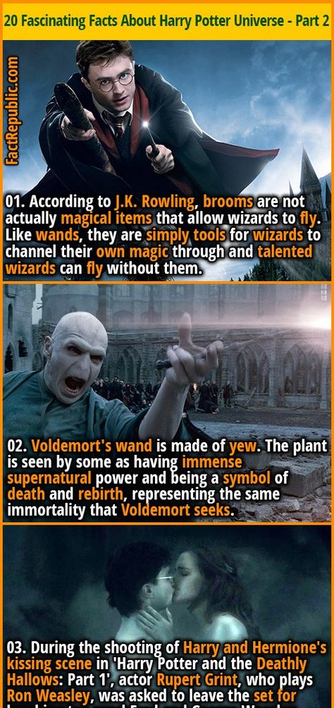 20 Fascinating Facts About the Mystical World of Harry Potter - Part 2 | Fact Republic Wizard With Wand, Harry Potter Part, Harry Potter Fun Facts, Harry Potter Theories, Wand Ideas, Hp Facts, Fact Republic, Potter Head, Harry Potter Illustrations