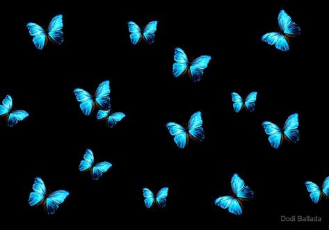 Blue Butterfly Black Background, Butterfly Black Background, Laptop Wallpaper Quotes, Blue Butterfly Wallpaper, Wallpaper Notebook, Normal Wallpaper, Butterfly Background, Computer Wallpaper Desktop Wallpapers, Cute Laptop Wallpaper