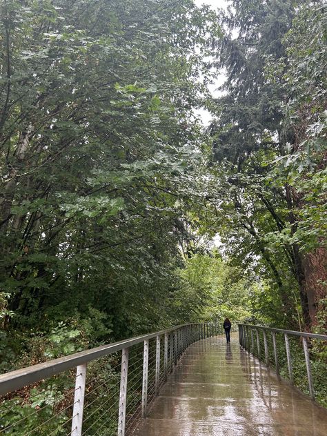 Reed college bouncy bridge outdoors nature aesthetic Pacific Northwest Oregon Portland. Nature, Reed College Aesthetic, Reed College Portland Oregon, Pacific Northwest Aesthetic, Pnw Vibes, Reed College, Ideal Lifestyle, College Vision Board, Oregon Portland