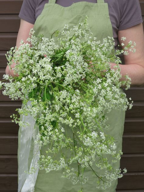 Pastel, Queen Anne Lace Bouquet, Queen Annes Lace Bridal Bouquet, Queen Anne’s Lace Bouquet, Queen Annes Lace Bouquet, Flowers Month, Ammi Visnaga, Ammi Majus, Shower Bouquet