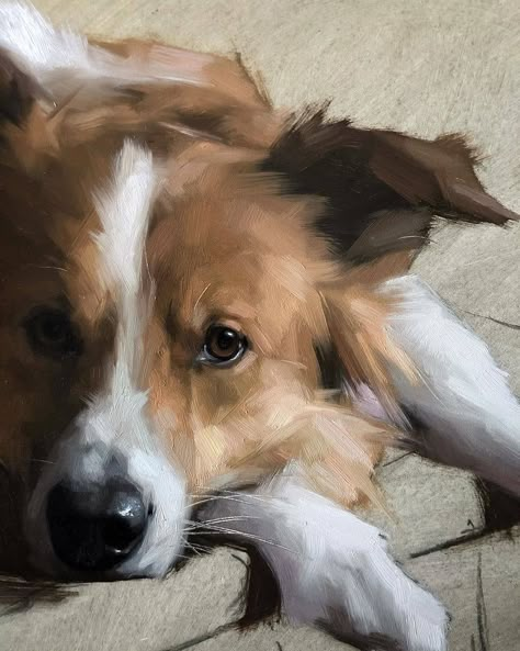 Jennifer Gennari Jennifer Gennari, Regard Animal, Pet Portrait Paintings, Dog Portraits Painting, Dog Portraits Art, Oil Painting Lessons, Animal Portraits Art, 강아지 그림, Animal Portraits