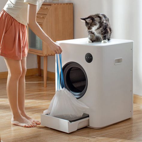 Best Litter Box, Automatic Litter Box, Cleaning Litter Box, Cat Cleaning, Cat Toilet, Ragdoll Kitten, Bird Supplies, Cat Family, Cat Litter Box