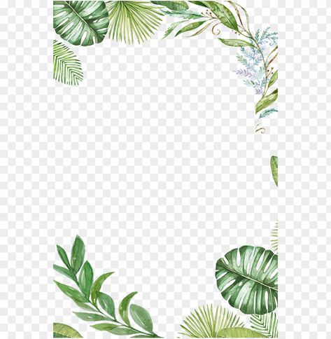 Leaves Border, Tropical Frames, Leaves Frame, Flower Frame Png, Leaf Frame, Leaf Border, Frame Png, Frame Background, Clear Background