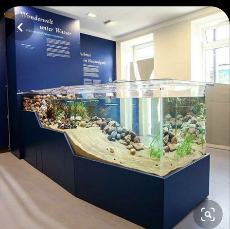 Fish Tank In Floor, Big Aquarium Ideas, Fish Tank Display, Turtle Aquarium, Aquarium Garden, Amazing Aquariums, Fish Tank Terrarium, Cool Fish Tanks, Aquascape Design