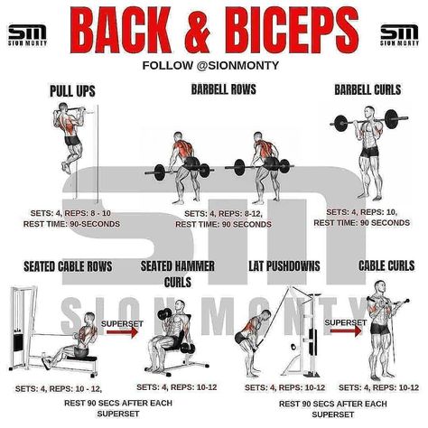 Workout Collage, Mens Bicep Workout, Exercise Aesthetics, Bicep Workout Gym, Back And Biceps Workout, Pull Day Workout, Back And Bicep Workout, Chest Workout For Men, Workout Gym Routine