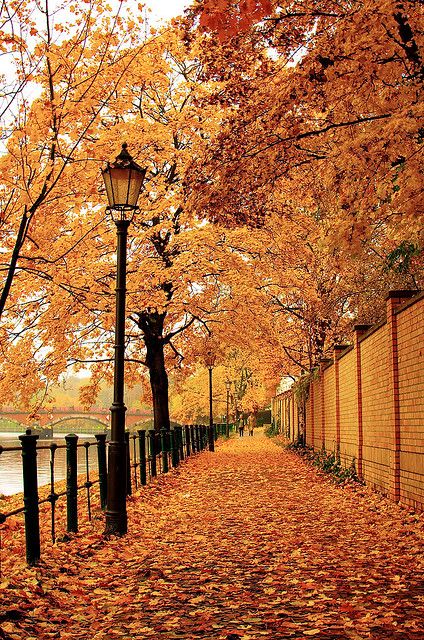 Berlin, 2009. Another shot of the streets in Berlin, taken just beside the royal palace. - by skynet | Flickr - Photo Sharing! Instagram, Trees, Berlin, Turning, Street Lights, The Words, Lamp Post, Thing 1, Orange