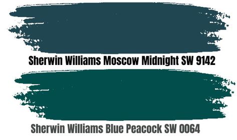 Sw Moscow Midnight, Blue Peacock Sherwin Williams, Moscow Midnight Sherwin Williams, Sherwin Williams Moscow Midnight, Moscow Midnight, Peacock Palette, Sherwin Williams Blue, Teal Palette, Color Palette Interior Design