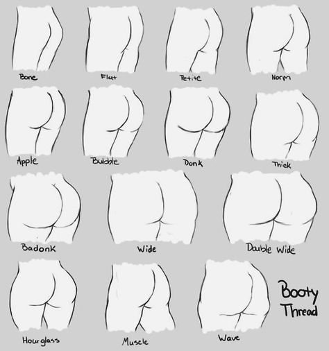 butts Body Type Drawing, Inkscape Tutorials, Body Drawing Tutorial, 캐릭터 드로잉, Female Anatomy, Poses References, Figure Drawing Reference, Body Drawing, Anatomy Reference