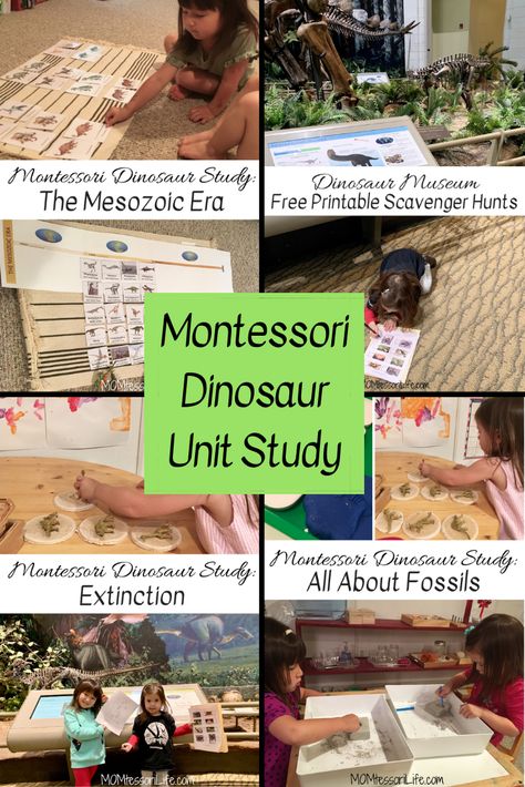 Paleontology Activities For Preschool, Dinosaur Study Preschool, Dinosaur Lessons Elementary, Dinosaur Unit Preschool, Montessori Dinosaur Activities, Dinosaur Social Studies Preschool, Dinosaur Homeschool, Dinosaur Unit Study Kindergarten, Dinosaur Unit Study 3rd Grade