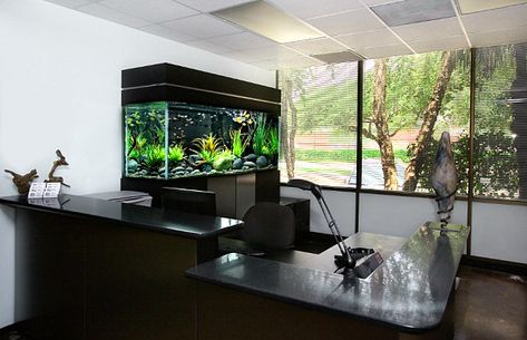 Black aquarium for the office #DIYmarketing #Officespace Modern Fish Tank, Amazing Aquariums, Cool Fish Tanks, Fish Tank Design, Aquarium Ideas, Cool Fish, Home Aquarium, Aquarium Design, Aquarium Decorations