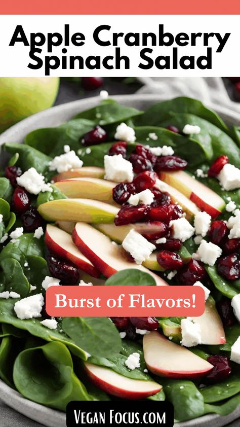 Brighten your plate with our Vegan Apple Cranberry Spinach Salad with Feta! Fresh spinach, crisp apples, sweet cranberries, and crunchy nuts mingle with vegan feta, all tossed in a mouthwatering maple, apple cider vinaigrette. Quick and easy, this salad is a burst of flavors that’s as friendly on your taste buds as it is on your time. Enjoy the vibrant goodness of fall in every bite! 🍏🥗 Make this salad in less than 15 minutes. Plant-based, vegan and gluten free. Apple Spinach Salad Recipes, Apple Cranberry Feta Pecan Salad, Apple Cranberry Walnut Feta Salad, Salad With Apples And Feta, Spinach Cranberry Pecan Salad, Spinach Apple Cranberry Salad, Cranberry Spinach Salad Recipes, Salad With Apples And Cranberries, Spinach Salad With Cranberries And Feta