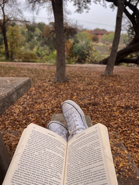 Reading in the park during fall Fall Reading Aesthetic, Reading In The Park, October Celebrations, November Reading, Autumn Reading, Reading Pictures, Reading Motivation, Fall Mood Board, Reading Aesthetic