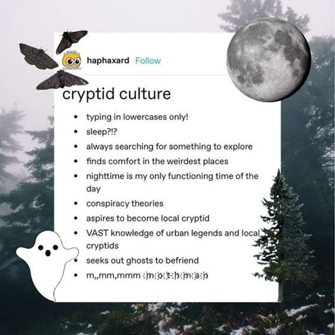 Mothman Cryptid, Forest Goblin, Cryptidcore Aesthetic, Forestcore Aesthetic, Paranormal Aesthetic, Chaotic Academia, Vulture Culture, Goblin Core, Ghost Hunting