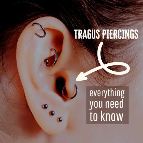 Tragus Ear Piercing: Everything You Need to Know - TatRing Ear Piercing For Migraines, Migraine Piercing, Piercings Tragus, Ear Piercings Chart, Piercing Chart, Types Of Ear Piercings, Ear Piercings Tragus, Tragus Hoop, Tragus Jewelry