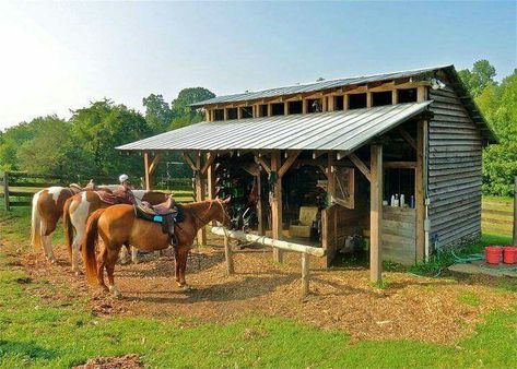 Tack Shed Ideas, Cowboy Bar, Small Horse Barns, Horse Shed, Diy Horse Barn, Horse Barn Ideas Stables, Small Barns, Horse Shelter, Horse Barn Plans