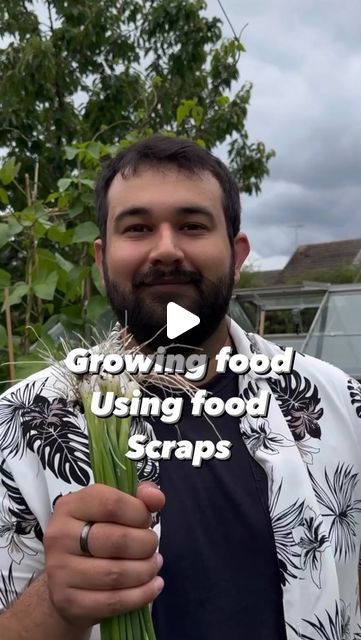 JoesGarden on Instagram: "Today we are back and I am showing you how you can use your food at home to grow even more food for free. It is worth noting that there are so many more ways you can grow food from scraps but these are a few of my favourites. Food prices are getting higher and higher each day, so why not try to grow your own. There are certain foods that can even be grown by simply replaying the old scraps and letting them regrow. It is worth noting that some scraps when regrown will not really be edible, a great example of this is lettuce and carrots. While you can regrow both by planting the ends, for lettuce you will grow a sour bolted lettuce that in my opinion is not tasty, and for carrots you will grow the foliage not the root. Another really cool food you can grow fro Grow From Scraps, Heated Greenhouse, Food F, World Hunger, Grow Food, Food Scraps, Food At Home, Green Stuff, Planting Ideas