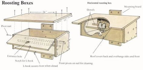 Bird House Plans Free, Homemade Bird Houses, Bird Facts, Bird House Feeder, Bird House Plans, Winter Birds, Nature Projects, Decorative Bird Houses, Roof Covering