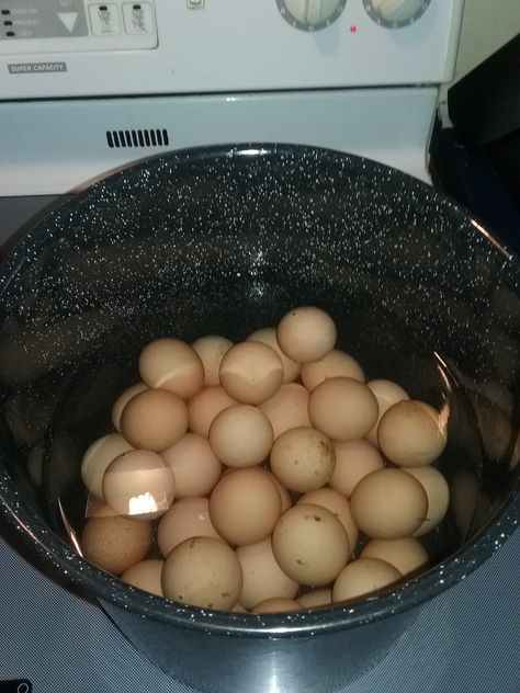 What To Do With A Lot Of Eggs, What To Do With Extra Eggs, Extra Eggs What To Do With, What To Do With Eggs, Yummy Egg Recipes, Instant Pot Hard Boiled Eggs, Rotten Egg, Perfect Hard Boiled Eggs, Bad Eggs