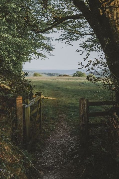 Miranda Core, English Countryside Aesthetic, Countryside Aesthetic, 2024 Moodboard, Countryside Pictures, Country Walk, And So It Begins, British Countryside, English Countryside