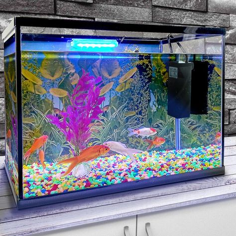 An aquarium lid is an essential component in the field of aquascaping. Its importance extends beyond safety and protection, encompassing various benefits such as evaporation control, temperature regulation, prevention of contamination, and reduction of algae growth Cold Water Fish, Aquarium Sand, Glass Fish Tanks, Aquascape Design, Gravel Stones, Glass Aquarium, Discus Fish, Glass Filter, Tanked Aquariums