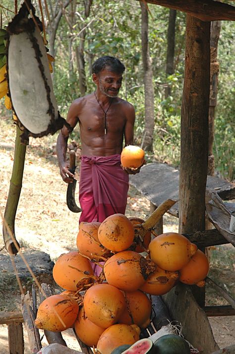 King Coconut seller prepares a big one. | One more shot Rog | Flickr Video Photography, Sri Lanka, Coconut, Photography