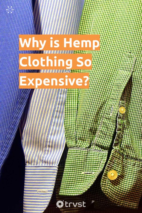 "Why is Hemp Clothing So Expensive?"- Hemp clothing is one of the most sustainable fashion and is fast rising in the textile and apparel industry. While hemp clothing is sustainable, it is also quite costly. The question is-... #trvst #inspiration #hemp #sustainable #sustainablefashion #hemp #sustainableliving #ecofriendly #bethechange #takeaction #sustainability #ecohemp #gogreen Clothing Logos, Edible Wild Plants, Herbal Plants, Hemp Clothing, Hemp Fabric, Eco Friendly Clothing, Diy Plants, Clothing Logo, Planting Herbs