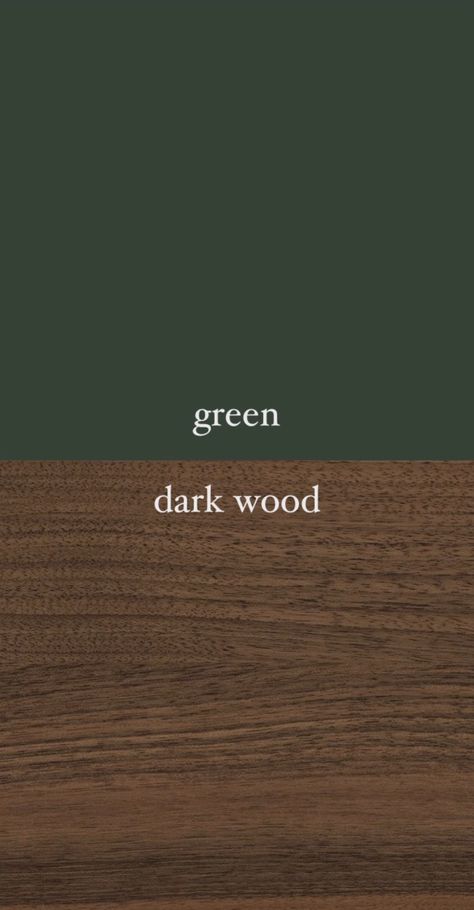 Dark Green With Dark Wood, Dark Olive Interior, Dark Green Wall With Black Trim, Dark Forest Green Interior Design, Dark Green Kitchen Color Scheme, Wood Black Green Interior, Dark Green Wall Interior, Forest Green Walls Living Room, Dark Green Living Room Ceiling