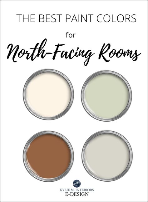 North Facing Room: The Best Most Popular Benjamin Moore Paint Colours Long Valley Birch Benjamin Moore, Light Interior Paint Colors Living Room, Best Paint Colors For North Facing Rooms Sherwin Williams, Green For North Facing Room, Green Paint For North Facing Room, Northwest Facing Room Paint, Paint For North Facing Bedroom, North Facing Bathroom Paint Colors, Paint Colors For North Facing Bedroom