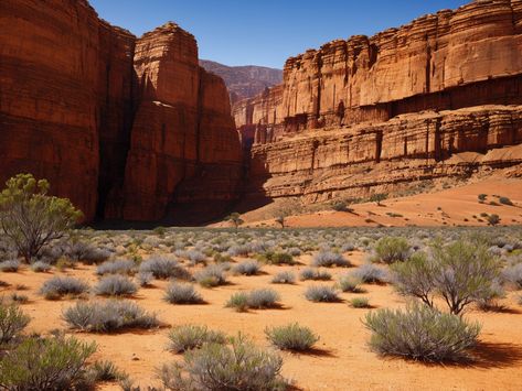 Discover Australia's Natural Beauty: Flinders Ranges Rugged Landscape Flinders Ranges, Rugged Landscape, Inspiring Landscapes, Awe Inspiring, Natural Beauty, Australia, Range, Beauty, Nature