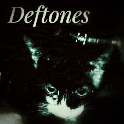 Deft0n3s cat Black, Discord Server, A Black, Black And White, White