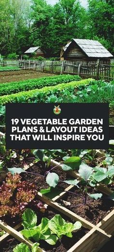 Vegetable Garden Plans, Funny Vine, Taman Air, Vegetable Garden Planner, Garden Layout Vegetable, Vegetable Garden Planning, Backyard Vegetable Gardens, Organic Vegetable Garden, Garden Planner