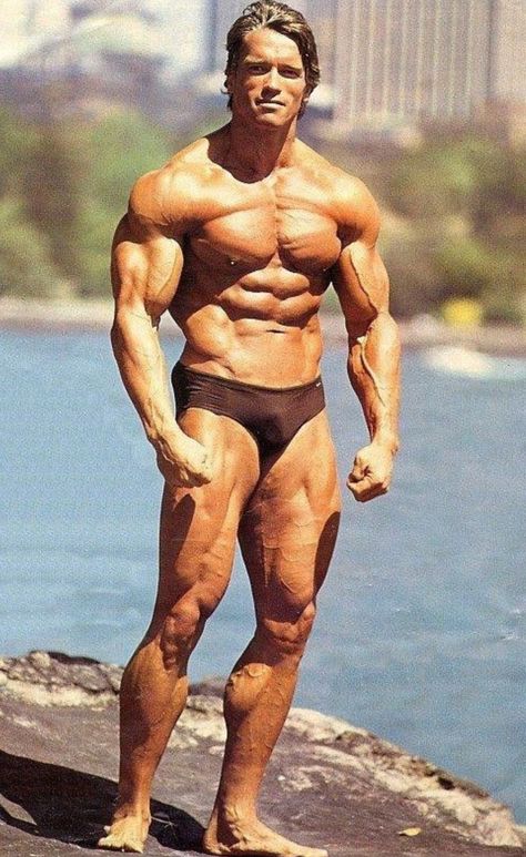 Arnold Schwarzenegger, Mr Olympia 1980 Arnold Physique, Arnold Schwarzenegger Back, Arnold Schwarzenegger Body, Building Motivation, Arnold Schwarzenegger Bodybuilding, Dream Physique, Schwarzenegger Bodybuilding, Body Build, Mr Olympia