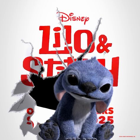 Lilo And Stitch Live Action, Stitch Wallpapers, Lilo And Stitch Movie, 10 Birthday, Bratz Inspired Outfits, Love Stitch, Disney Studios, Black Series, Inspired Outfits