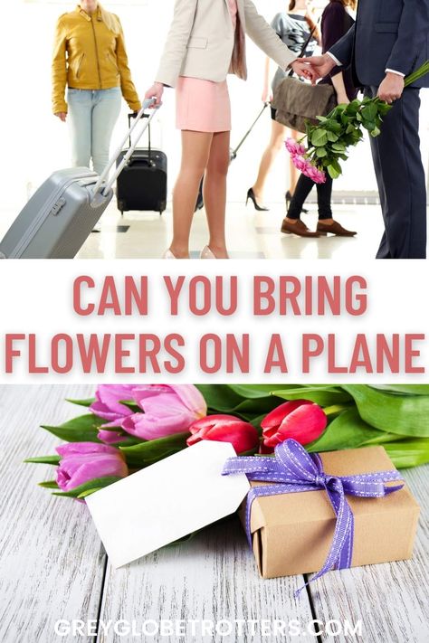 Want to take flowers on a plane? Checkout the TSA guidelines and exactly how to bring flowers on a plane - in your carry on or your checked luggage, plus tips on how to pack flowers for travel Carry On Bags, Checked Luggage, Airplane Travel, A Plane, Carry On Bag, Cut Flowers, Fresh Flowers, Carry On, Travel Tips